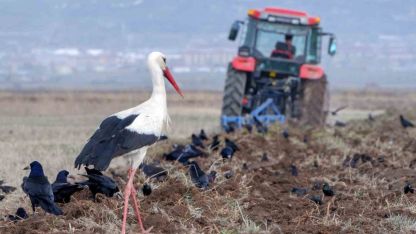 Dondurucu Soğuk ve Kar Geri Dönüyor! Erzurum, Erzincan, Bayburt ve Ardahan İçin Kritik Uyarı Yapıldı