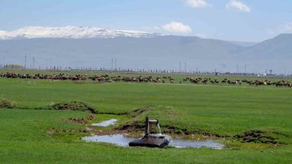 Erzurum Tarımı İçin Kritik Rapor! İklim Değişikliğine Karşı Hangi Çiftçiler Yeniliğe Daha Açık?