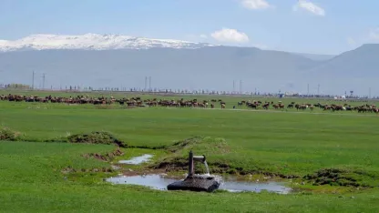 Erzurum Tarımı İçin Kritik Rapor! İklim Değişikliğine Karşı Hangi Çiftçiler Yeniliğe Daha Açık?
