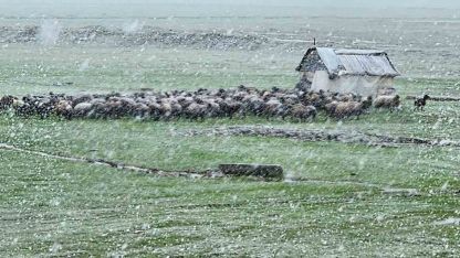Baharı Beklerken Kış Geri Döndü: Muş'ta Kar Yağışı Hayatı Felç Etti