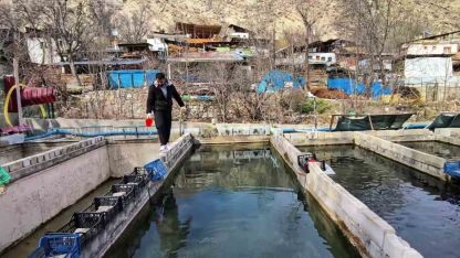 300 Bin Balık Telef Olmuştu: Erzurumlu Üreticinin 1.5 Milyon TL'lik Mağduriyeti Sürüyor