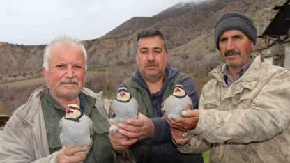 Atadan Kalma Gelenek Bilimle Buluştu: Erzurum'da Dev Keklik Envanteri Tamamlandı
