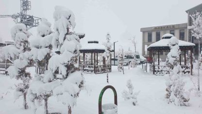 Baharı Beklerken Kış Bastırdı: Başkale’de Kar Altında Kalan Meyve Ağaçları Görenleri Şaşırttı