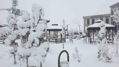 Baharı Beklerken Kış Bastırdı: Başkale’de Kar Altında Kalan Meyve Ağaçları Görenleri Şaşırttı