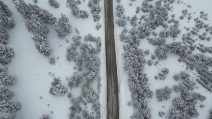 Doğanın Ressamı Sarıkamış’ta İş Başında: Sarıçam Ormanları Beyaz Gelinliğini Giydi