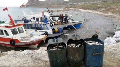 Van Gölü’nde Mucizevi Göç Başlıyor! 90 Günlük Yasak Bugün Devreye Girdi