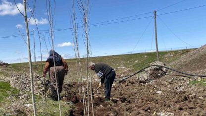 Patnoslu Vatandaşlardan Geleceğe Miras: İmece Usulü Fidan Dikimi