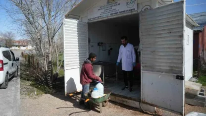 Mandırada 16 TL, Merkezde 24 TL: Muş’ta Süt Üreticisinin Yüzü Gülüyor