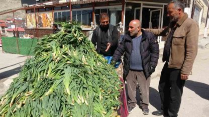 Dağlardan Gelen Doğal İlaç: Van’da Çiriş Otu Sezonu Başladı