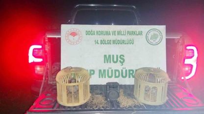 Canlı Mühreyle Avlanırken Yakalandı: Muş’ta Kaçak Avcıya Suçüstü