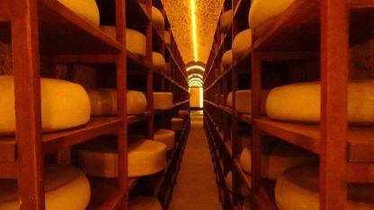 Kars Peynir Müzesi Yerli ve Yabancı Turistlerin İlgi Odağı Oldu