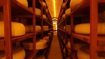 Kars Peynir Müzesi Yerli ve Yabancı Turistlerin İlgi Odağı Oldu