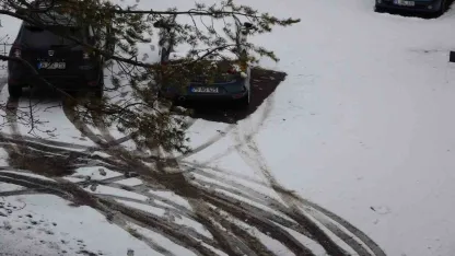 Ardahan’da Nisan Karı Etkili Oldu