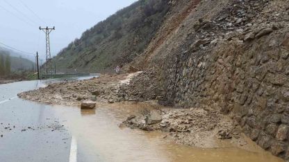 Hizan-Bahçesaray Yolunda Heyelan: Ekipler Seferber Oldu