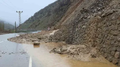 Hizan-Bahçesaray Yolunda Heyelan: Ekipler Seferber Oldu