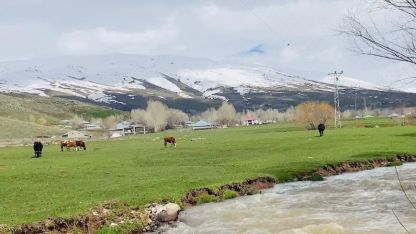 Patnos’ta Doğanın Oyunu: Aşağısı Bahar Yukarısı Kar