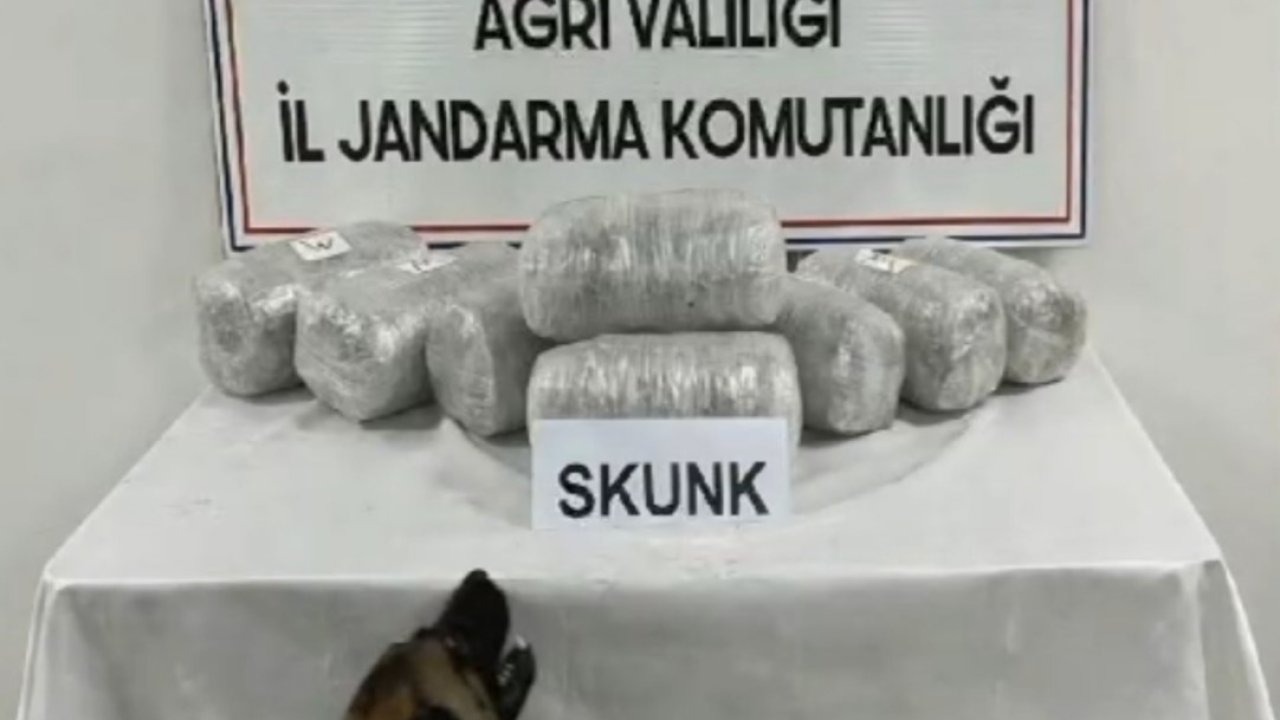 Ağrı’da Uyuşturucu Operasyonu: 10 Kilogram Skunk Ele Geçirildi