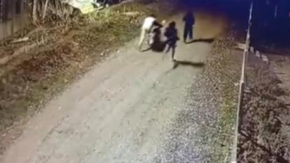 Akyumak Köyünde Motor Hırsızlarına Jandarma Operasyonu: 3 Gözaltı