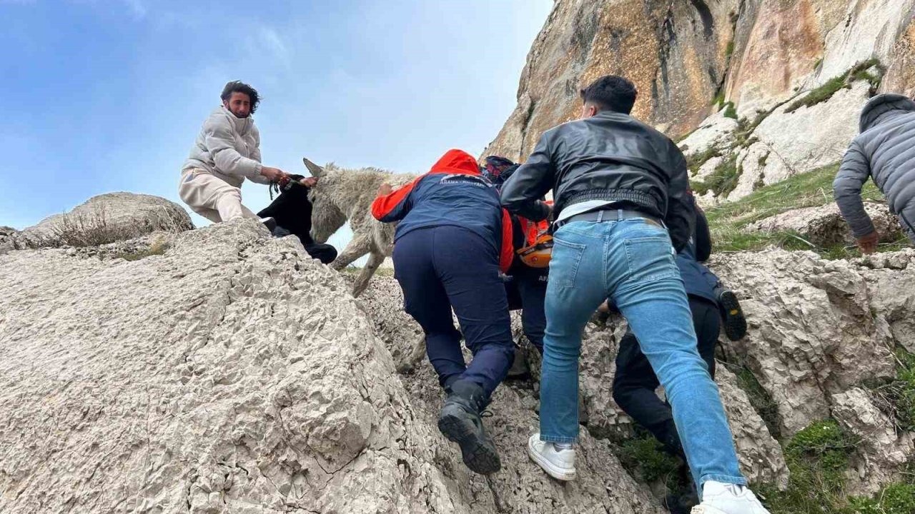 Amik Kalesi’nde Heyecanlı Kurtarma: Kayalıklarda Mahsur Kalan Hayvanın İmdadına AFAD Yetişti