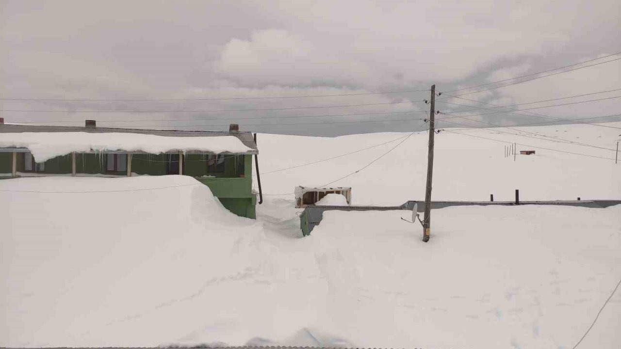 Ardahan Bülbülan Yaylası Nisan Ayında Kar Altında: Evler ve İş Yerleri Kara Gömüldü