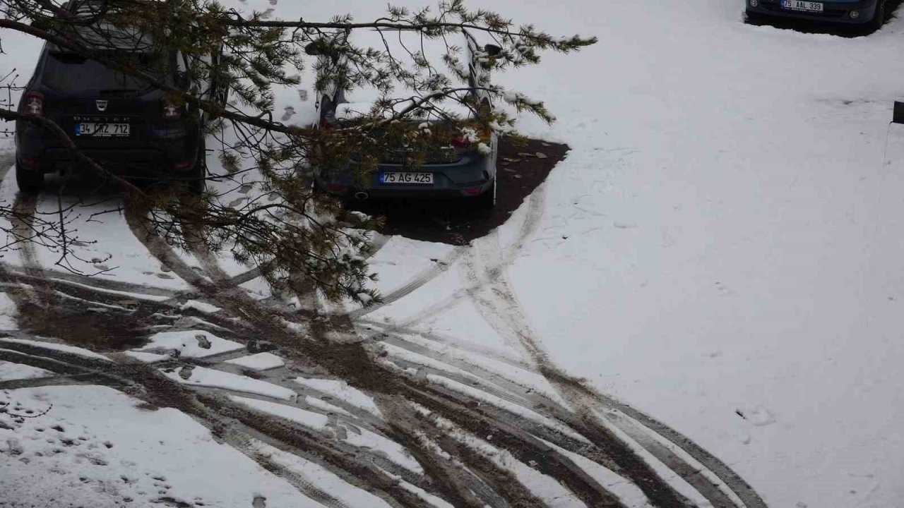 Ardahan’da Nisan Karı Etkili Oldu