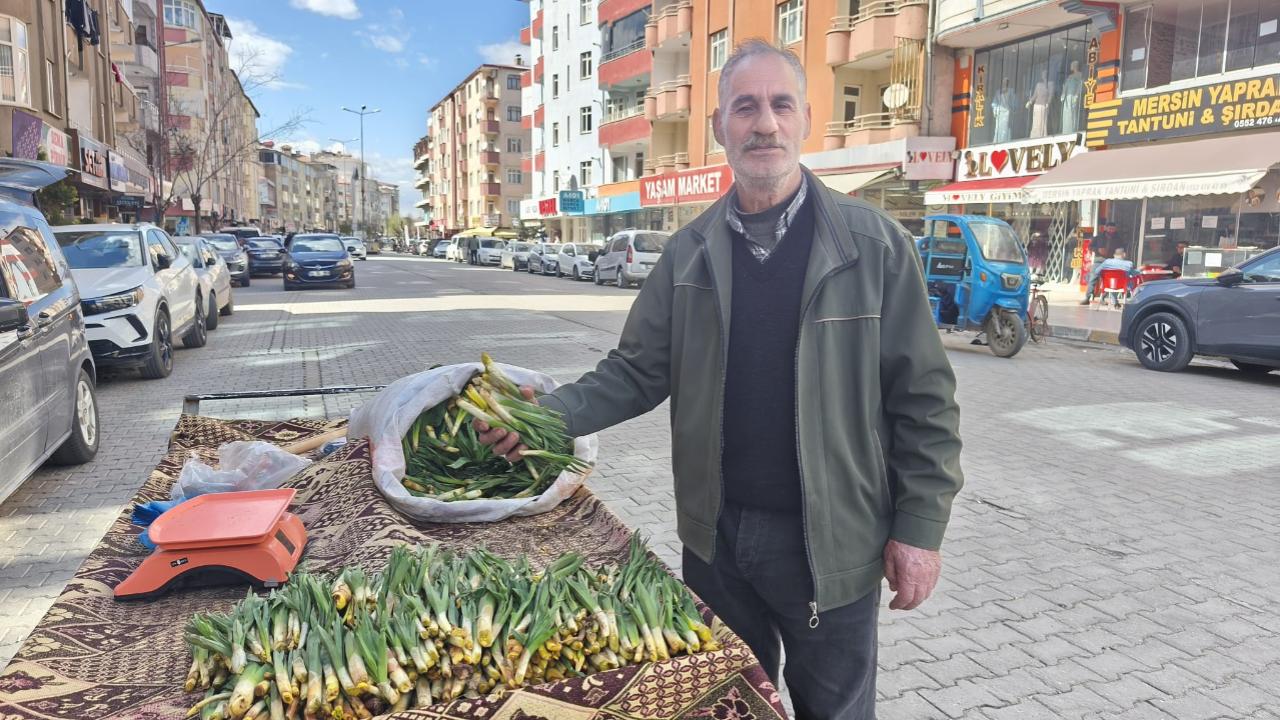Bağışıklığı Çelik Gibi Yapan O Ot Iğdır Sokaklarında!