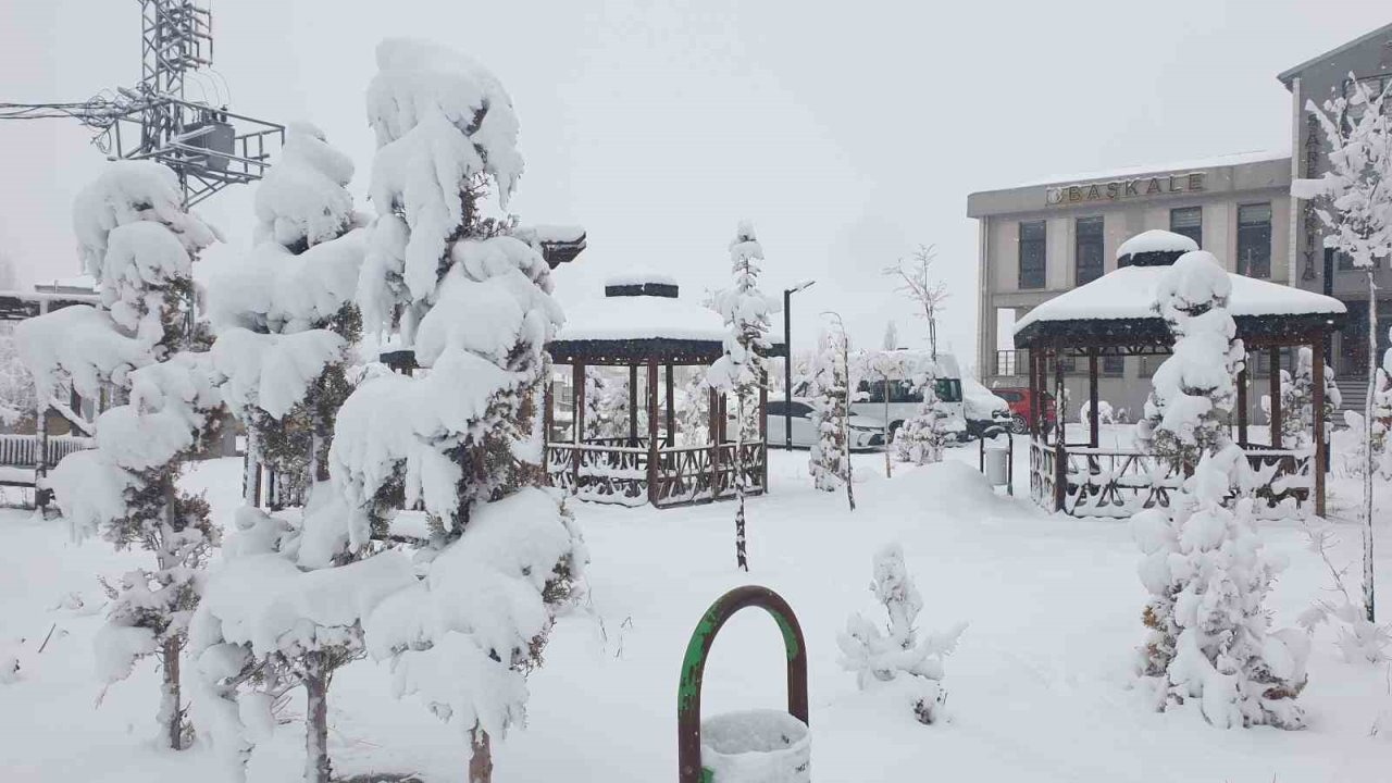 Baharı Beklerken Kış Bastırdı: Başkale’de Kar Altında Kalan Meyve Ağaçları Görenleri Şaşırttı