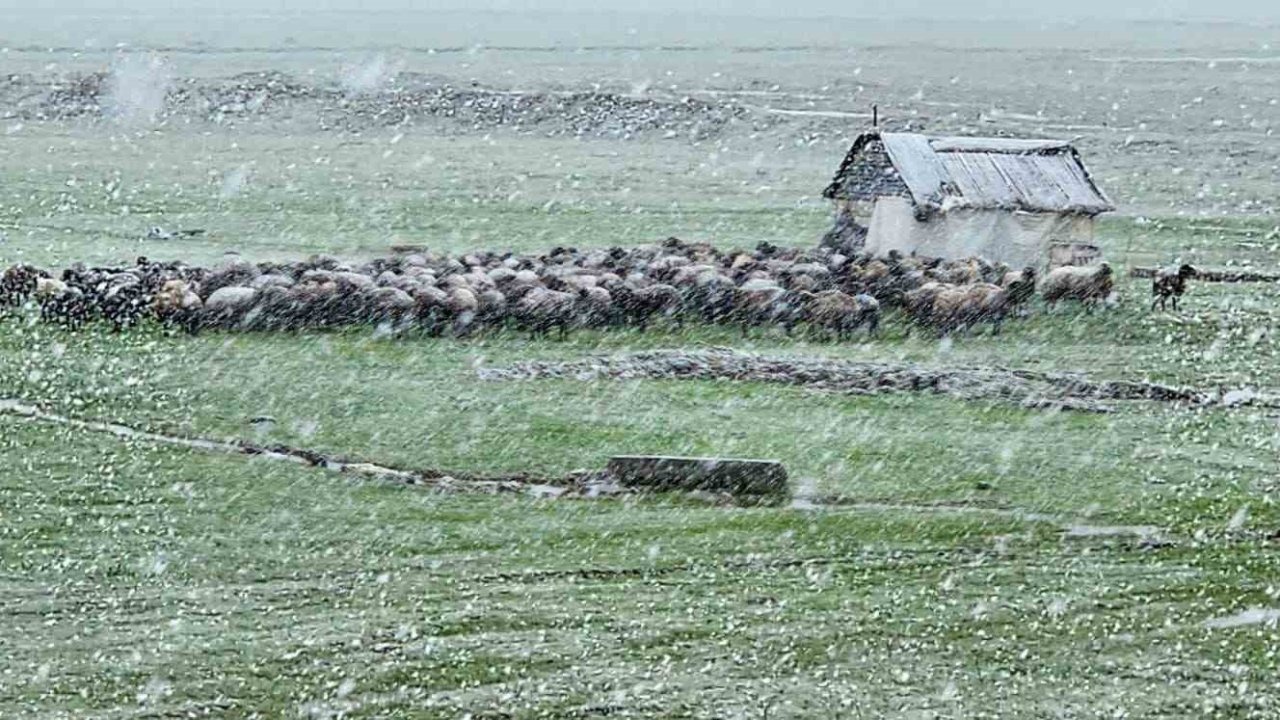 Baharı Beklerken Kış Geri Döndü: Muş'ta Kar Yağışı Hayatı Felç Etti