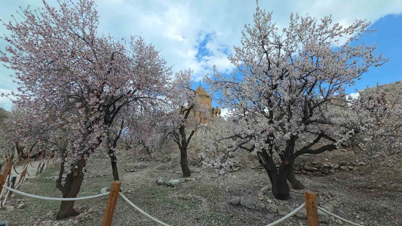 Baharın En Güzel Adresi: Akdamar Adası Ziyaretçi Akınına Uğruyor