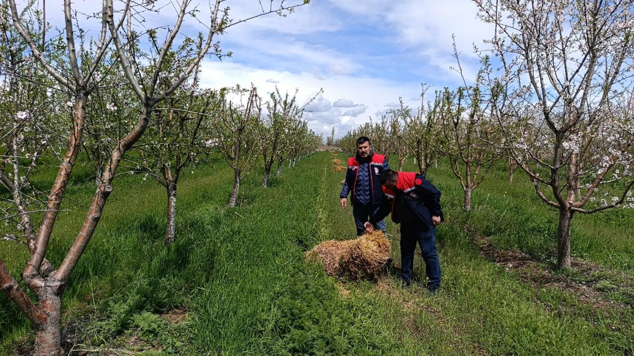 Bahçelerde Gece Nöbeti: Iğdır’da Meyve Ağaçları İçin Don Alarmı