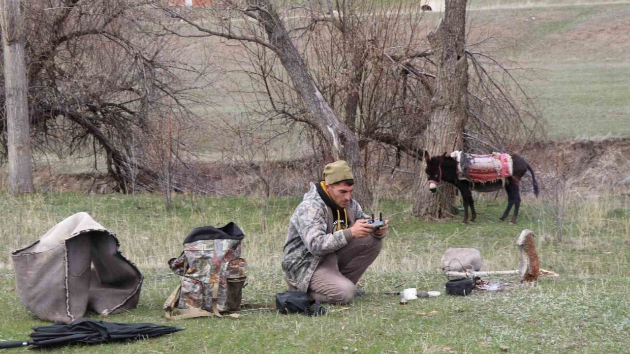 Çobanlığı Geleceğe Taşıdı: Oltulu Genç Çoban İsmail Akkaş Sürüyü Artık 'Tek Tıkla' Çeviriyor