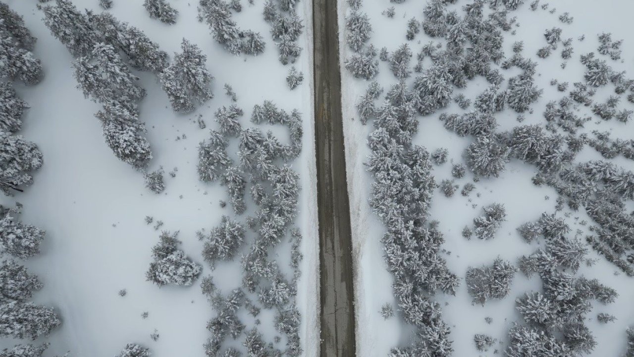Doğanın Ressamı Sarıkamış’ta İş Başında: Sarıçam Ormanları Beyaz Gelinliğini Giydi