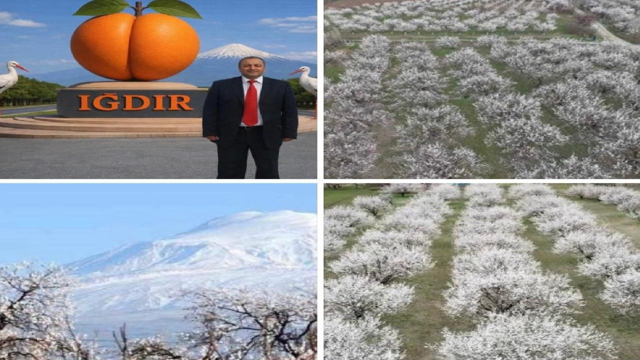 Doğu’nun Çukuravası Iğdır’da Beyaz Bahar ve Kaçırılan Fırsatlar