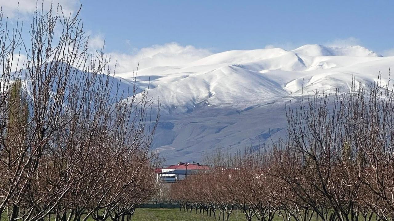 Doğu’nun Çukurovası Iğdır'da İki Mevsim Bir Arada: Beyaz ve Yeşil Buluştu
