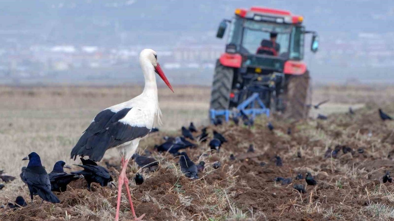 Dondurucu Soğuk ve Kar Geri Dönüyor! Erzurum, Erzincan, Bayburt ve Ardahan İçin Kritik Uyarı Yapıldı