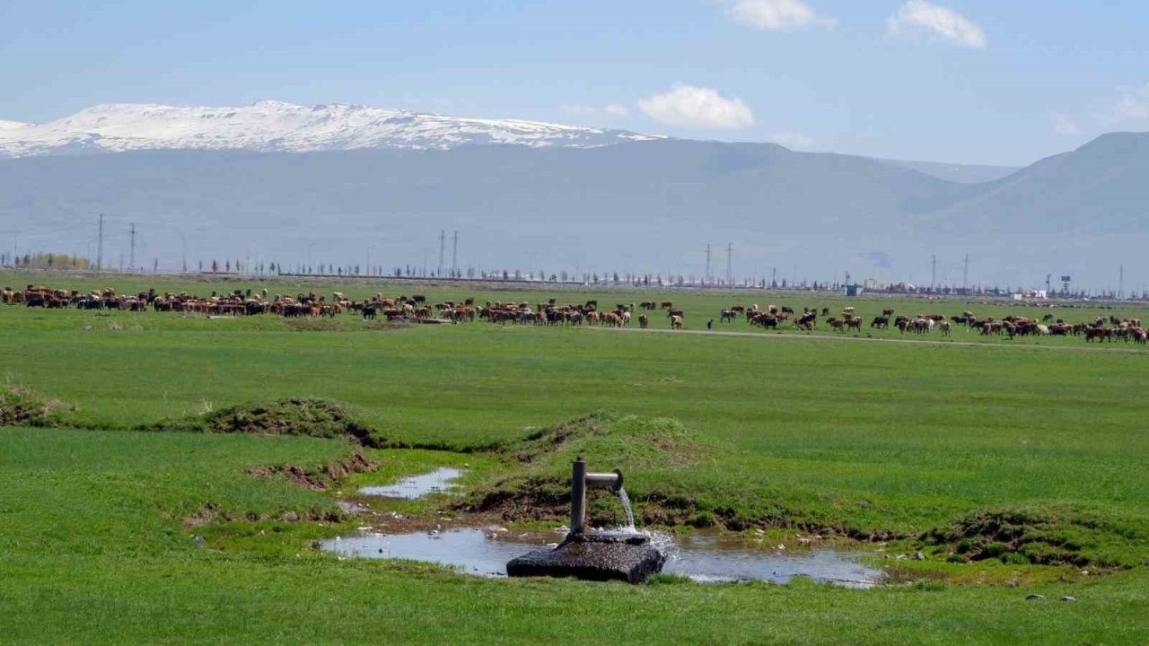 Erzurum Tarımı İçin Kritik Rapor! İklim Değişikliğine Karşı Hangi Çiftçiler Yeniliğe Daha Açık?