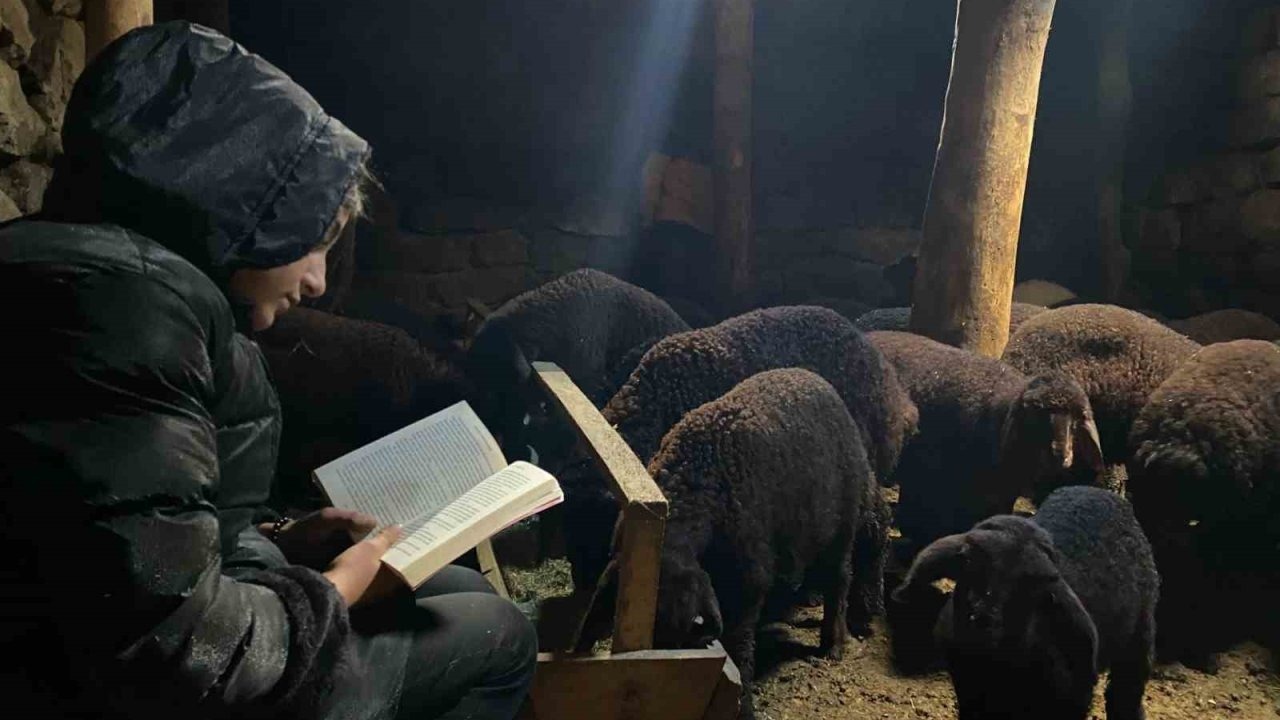 Gündüz Çobanlık Akşam Ders Mesaisi: Patnoslu Menekşe'nin Azmi Hayran Bırakıyor