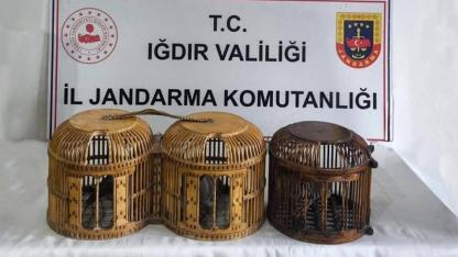 Iğdır Jandarmasından Kaçak Avcılara Darbe: 72 Bin TL Ceza Kesildi!