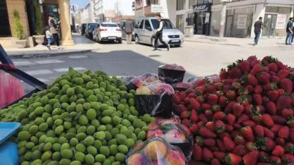 Iğdır Tezgahlarında “Çağla” Mesaisi: Kilogramı 300 Tl