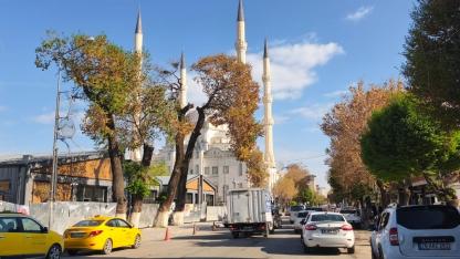 Iğdır’da Doğa Bayramı: Göçmen Kuşlar Yuvalarına Döndü!