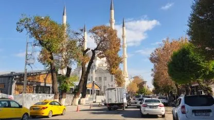 Iğdır’da Doğa Bayramı: Göçmen Kuşlar Yuvalarına Döndü!