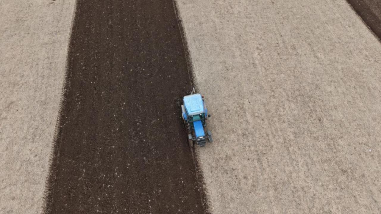 Iğdır’da Ekin Sezonu Açıldı: 90 Bin Dekar Alanda Üretim Heyecanı