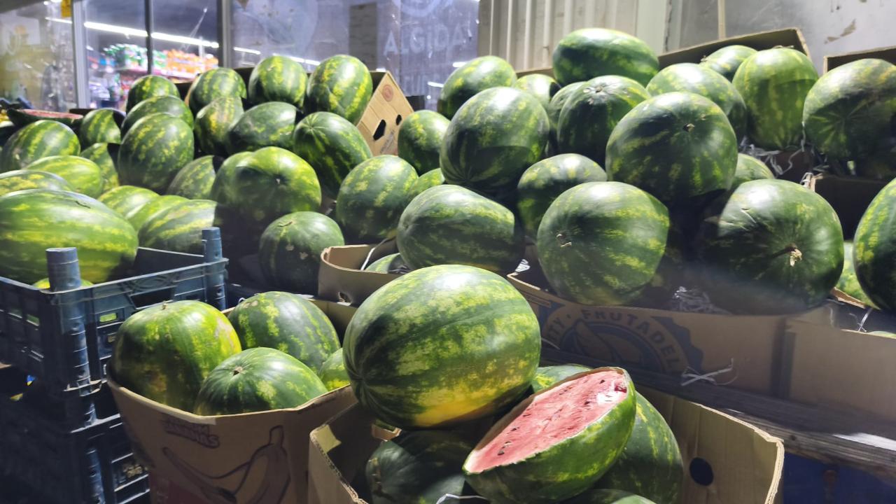 Iğdır’da Karpuz Mevsimi Açıldı: İlgi Büyük, Fiyatlar El Yakıyor