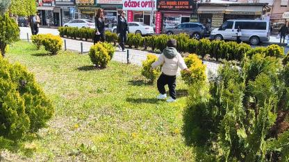 Iğdır’da Yağmur Bereketi: Şehir Merkezi Yeşile Büründü