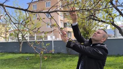 Iğdır’da Zirai Don Alarmı: Üretici Bahçede Nöbette