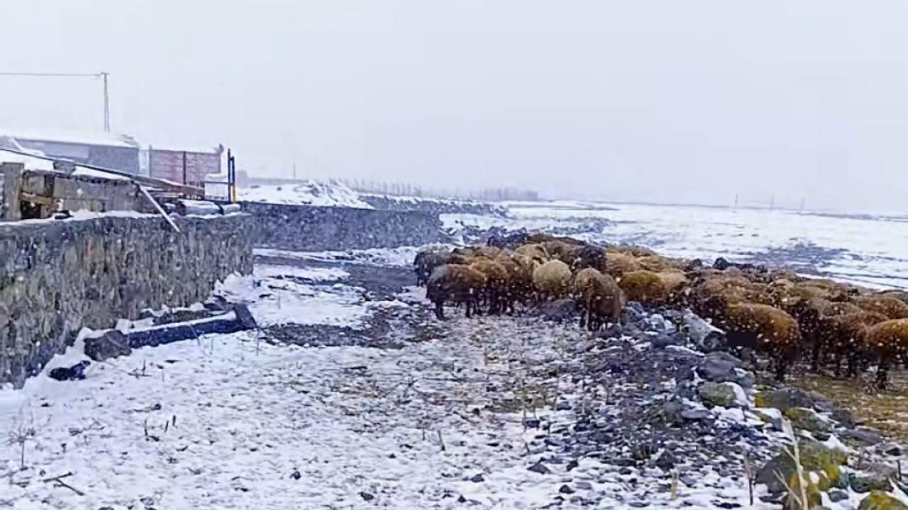 Iğdırlı Göçerler Kara Kara Düşünüyor: Yayla Yoluna Kar Engeli