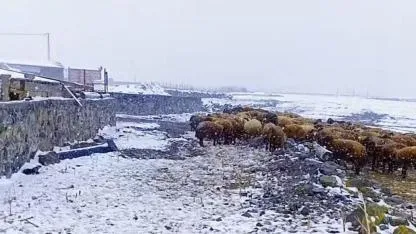 Iğdırlı Göçerler Kara Kara Düşünüyor: Yayla Yoluna Kar Engeli