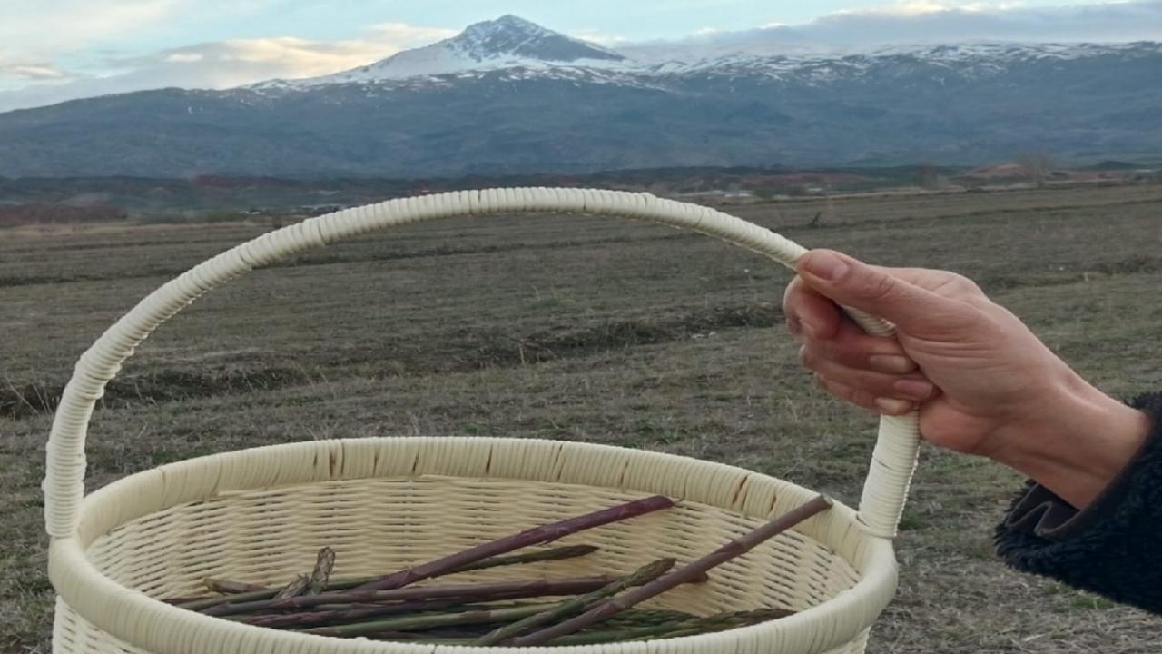 Iğdırlıların Bahar Geleneği: Bu Bitkiyi Toplayan Köşeyi Dönüyor! İşte O Lezzet