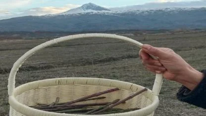 Iğdırlıların Bahar Geleneği: Bu Bitkiyi Toplayan Köşeyi Dönüyor! İşte O Lezzet