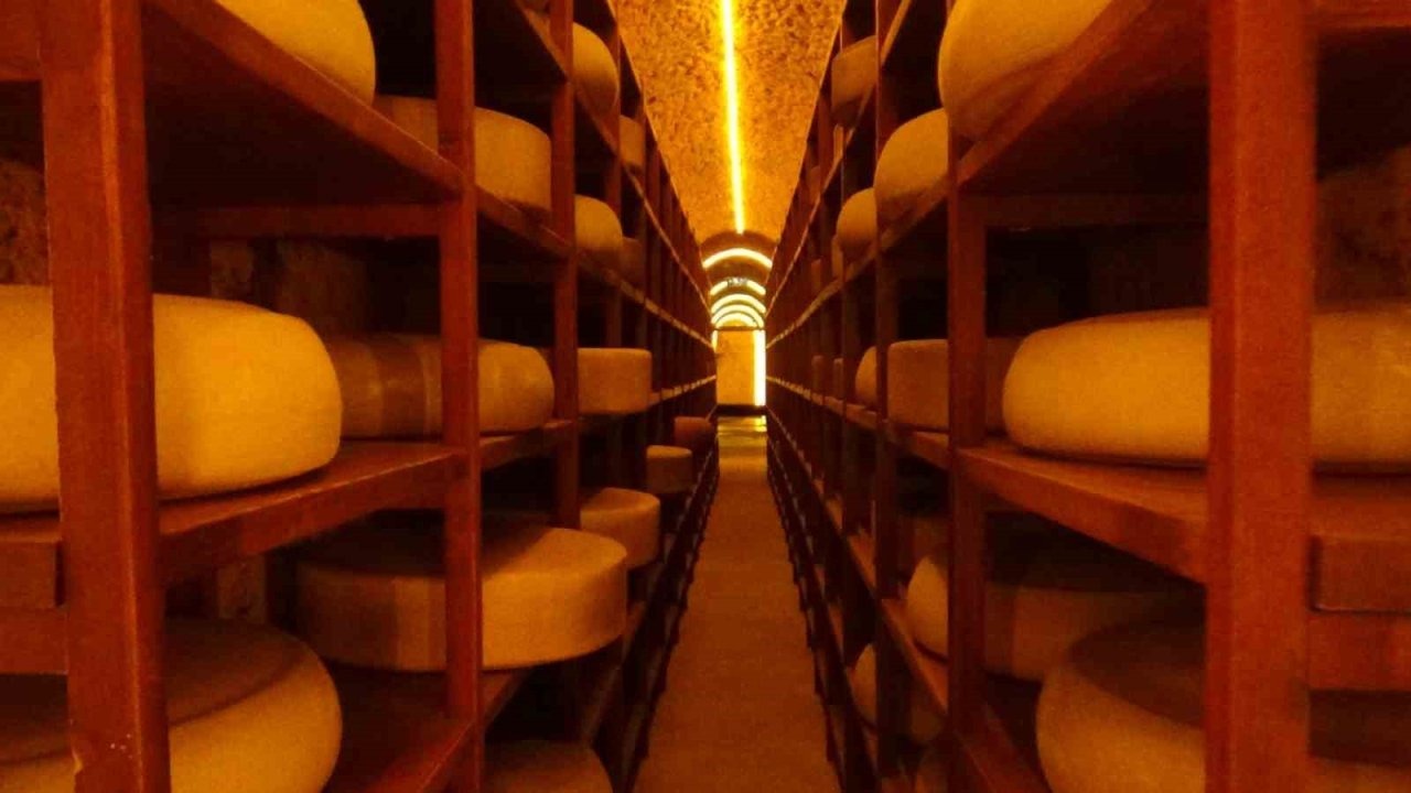 Kars Peynir Müzesi Yerli ve Yabancı Turistlerin İlgi Odağı Oldu